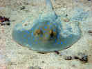 DSCN2270LA.jpg (4412463 byte)