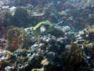 DSCN2344LA.jpg (3624332 byte)
