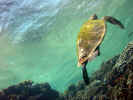 DSCN2345LA.jpg (4031289 byte)