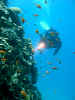 DSCN2412LA.jpg (2825905 byte)