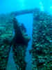 DSCN2469LA.jpg (3745313 byte)